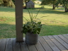 Farmhouse porch